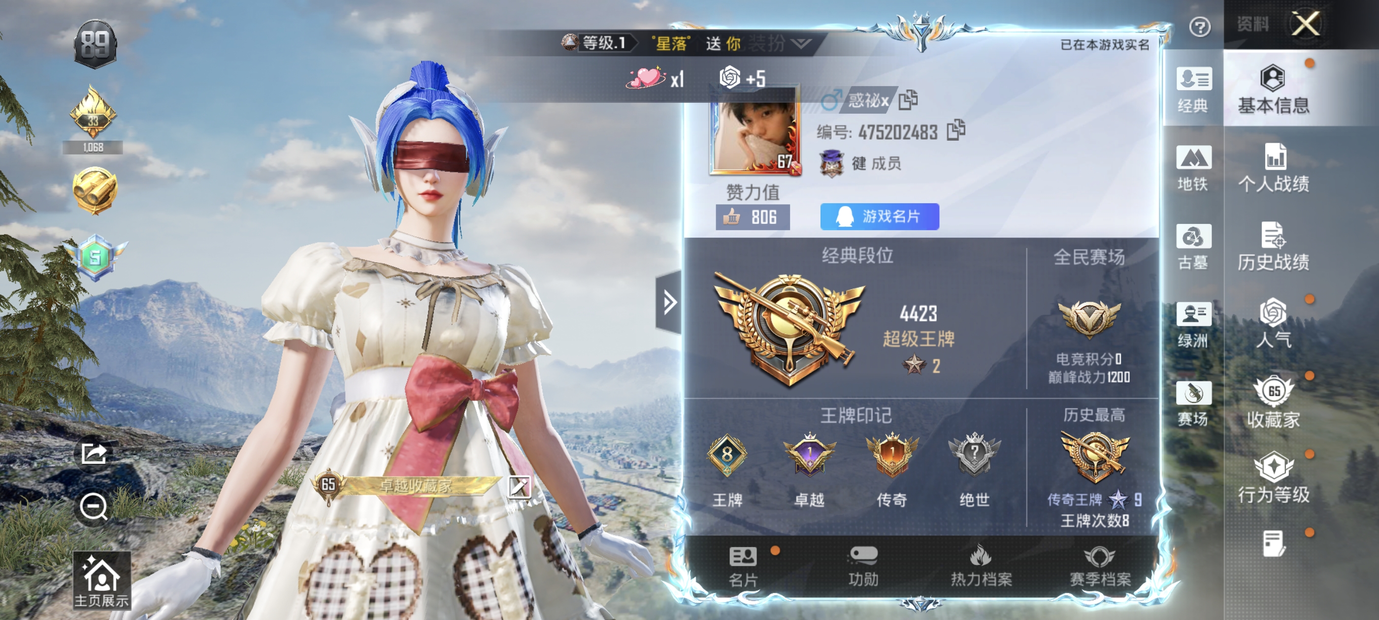 大图