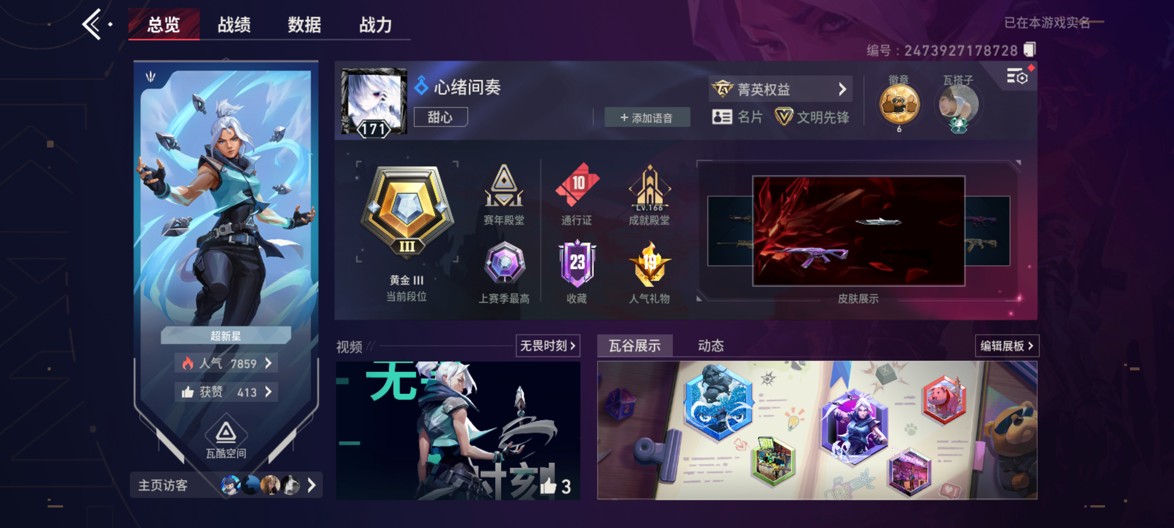 大图