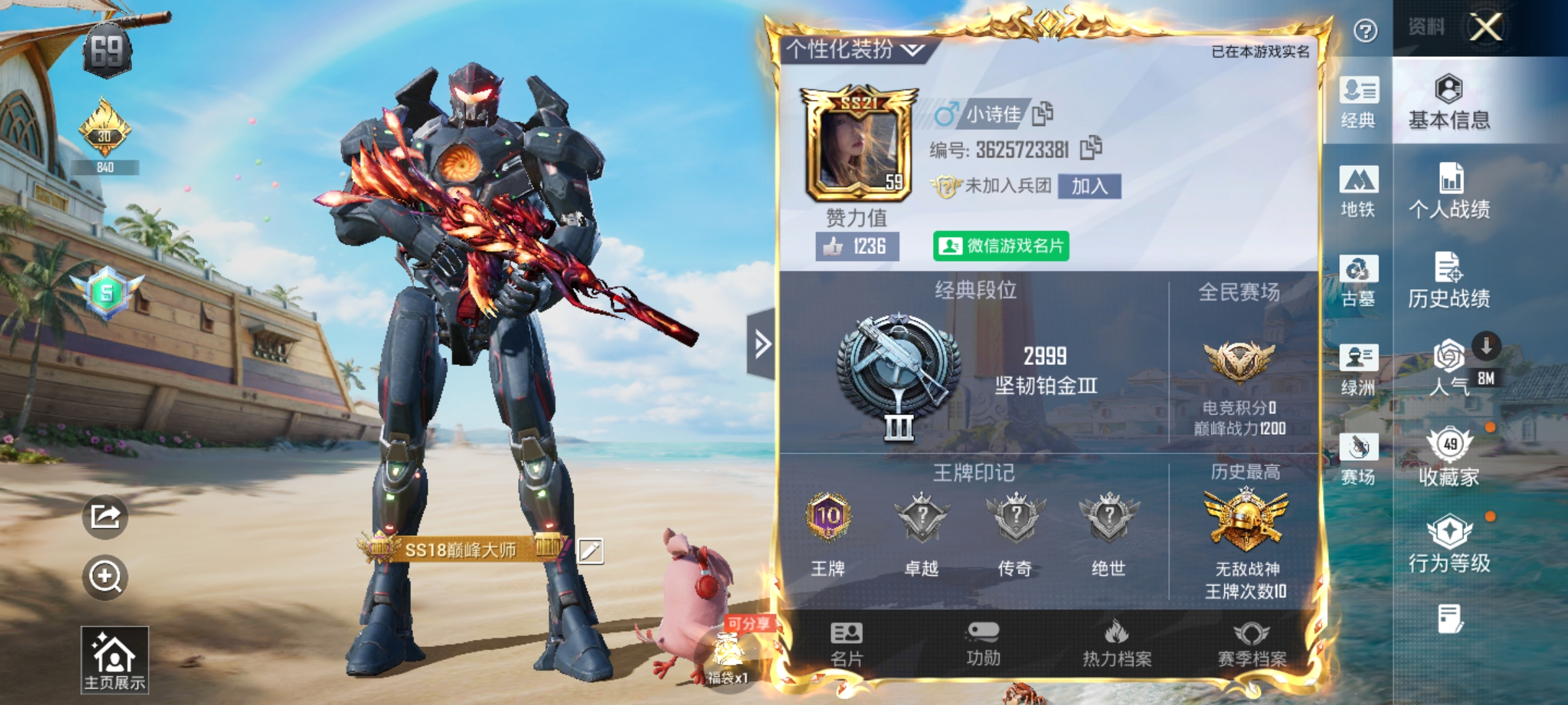 大图
