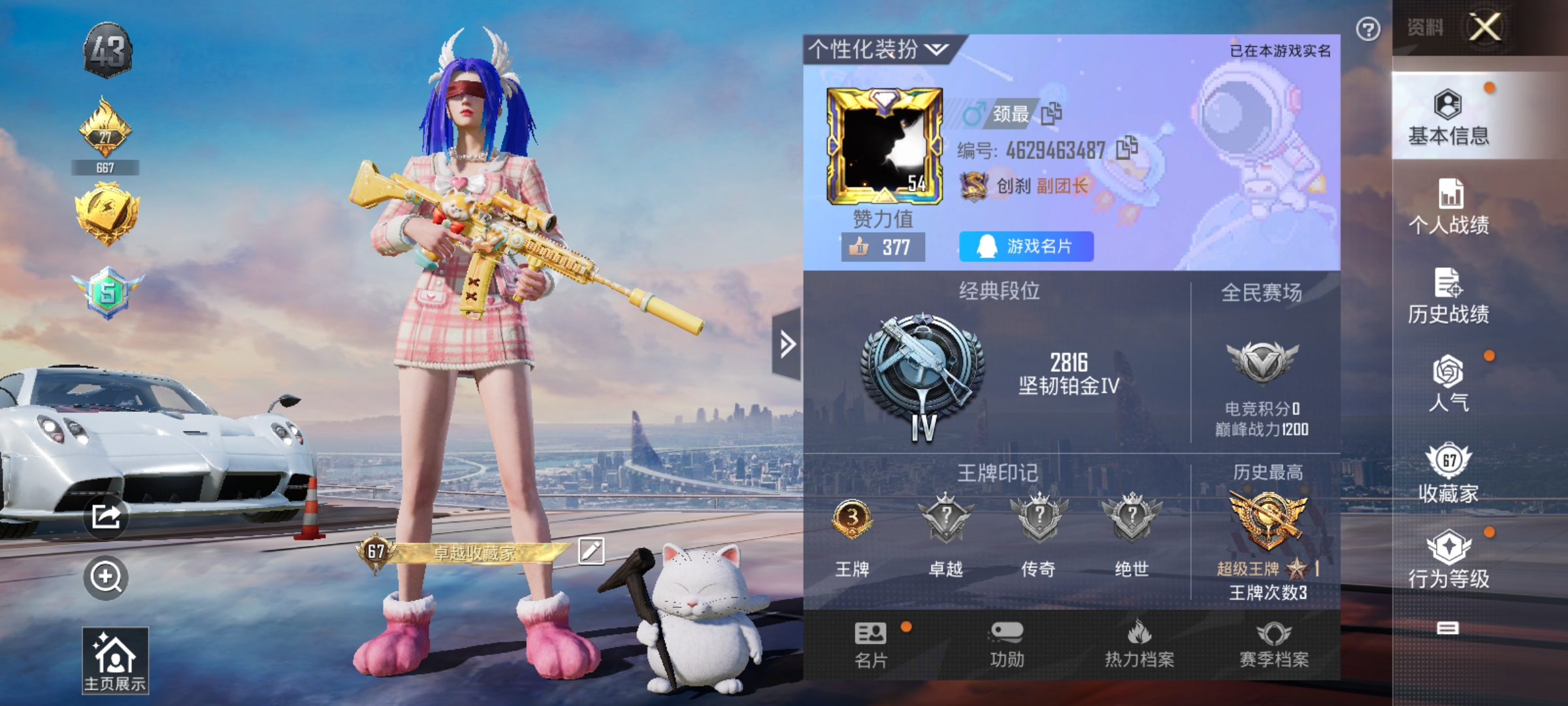 HPCMW3312807和平精英账号详情图1
