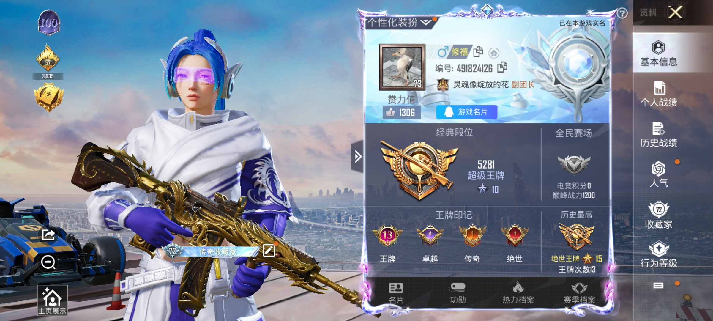 HPCMW3313714和平精英账号详情图1